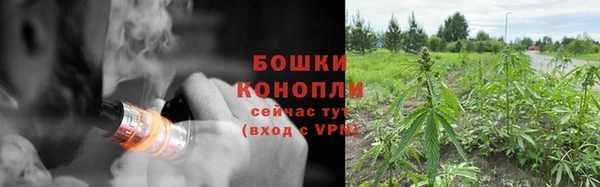 мдпв Ладушкин