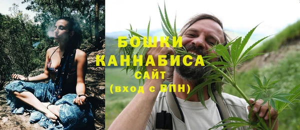 дживик Лагань