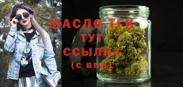 мдпв Ладушкин