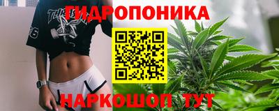 круглые Бийск