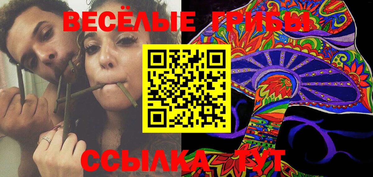 Псилоцибиновые грибы мицелий  Домодедово 